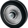Roue De Guidage DS-WSW 200